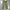 WAREHOUSE & CO.  DUCK DIGGER LOT 1082 CHINOES  OLIVE GREEN  photo 3