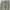 WAREHOUSE & CO. DUCK DIGGER LOT 1082 CHINOES OLIVE GREEN photo 7