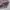 Casual Sweatshirt Wanita pink gray photo 4