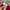 Adidas Streetwear Sportswear Jersey Wanita red photo 5