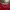 ADIDAS X NBA X CHICAGO BULLS ROSE BASKETBALL JERSEY photo 7