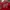 ADIDAS X NBA X CHICAGO BULLS ROSE BASKETBALL JERSEY photo 6