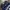 ADIDAS X NBA X MEMPHIS BEARS IVERSON BASKETBALL JERSEY photo 7