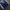 ADIDAS X NBA X MEMPHIS BEARS IVERSON BASKETBALL JERSEY photo 5