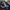 ADIDAS X NBA X MEMPHIS BEARS IVERSON BASKETBALL JERSEY photo 4