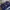 ADIDAS X NBA X MEMPHIS BEARS IVERSON BASKETBALL JERSEY photo 6