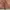 Vintage Beams Detroit Heavy Canvas photo 5