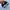 Converse CT 70s Low photo 4