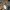 Burberry nova women original hongkong photo 8