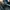Clarks wallabe high leather photo 7