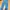 Jeans Boyfriend Ripped Wanita Light Blue Denim photo 3