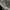 Outer Crop photo 4
