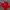 Liverpool jersey 2001 home vintage photo 2