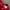 Liverpool jersey 2001 home vintage photo 6