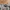 Streetwear Gorpcore Tracksuit Pria tan photo 6