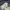 LEVIS 527 SLIM BOOTCUT FIT INDIGO BLUE FLARE DENIM JEANS photo 5