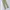 Dickies Vintage Casual Casual pants Pria khaki photo 2