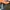 cowboy boots or harness boots by Harley Davidson photo 7