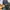casual or formal shoes by kickers  photo 5