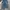 vintage jorts jeans FUBU photo 3