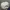 Topi Raybestos NASCAR photo 2
