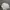 Topi Raybestos NASCAR photo 3