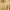 Dior Vintage Polo shirt Pria gold photo 2