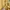 Dior Vintage Polo shirt Pria gold photo 7