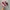 Vans Authentic Classic OG Red Chillie White photo 2
