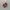 Vans Authentic Classic OG Red Chillie White photo 3