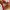 Vans Authentic Classic OG Red Chillie White photo 7