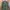 Outer Army Green