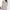 Love Bonito Casual Midi dress Wanita multicolor white photo 4