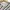 Love Bonito Casual Midi dress Wanita multicolor white photo 8