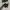 Adidas superstar leather black white photo 5