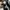 Adidas superstar leather black white photo 8