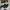 Adidas superstar black white  photo 5