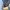 Coach Metallic Golg mini handbag ; purse coach photo 4
