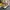 Coach Vintage Hampton turnlock ; handbag shoulderbag coach photo 5
