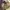 Coach Rare ; Coach Shoulder Bag ; Coach Bohemian Suede Hobo