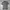 POLOSHIRT RALPHLAUREN GREY