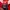 Vintage Y2K Ecko Unltd Rhino Hoodie Sweatshirt L Red Fleece  photo 5
