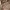 Y2K Avant Garde Shirt Wanita multicolor tan photo 2