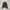 Archive AVV Homme quilted hooded Fur jacket Vkei Style  photo 4