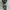 1988s Vintage Woodland US Army Camo 3/4  photo 4