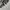 1988s Vintage Woodland US Army Camo 3/4 photo 10