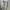 Asics Luxury Sportswear T-shirt Pria white photo 4