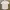 Uniqlo Kemeja Pendek Size s photo 2