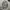 Streetwear Bomber jacket Pria tan photo 2
