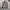 Streetwear Bomber jacket Pria tan photo 1